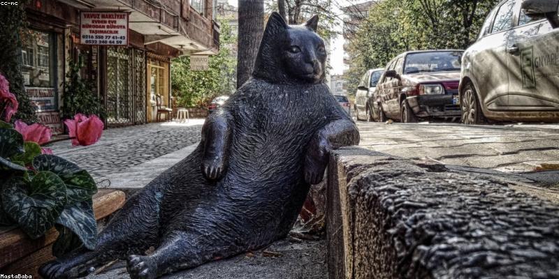 一個男性在藥局櫃檯前，正在諮詢藥師關於藥品的資訊